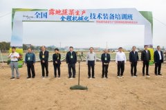 全国露地蔬 